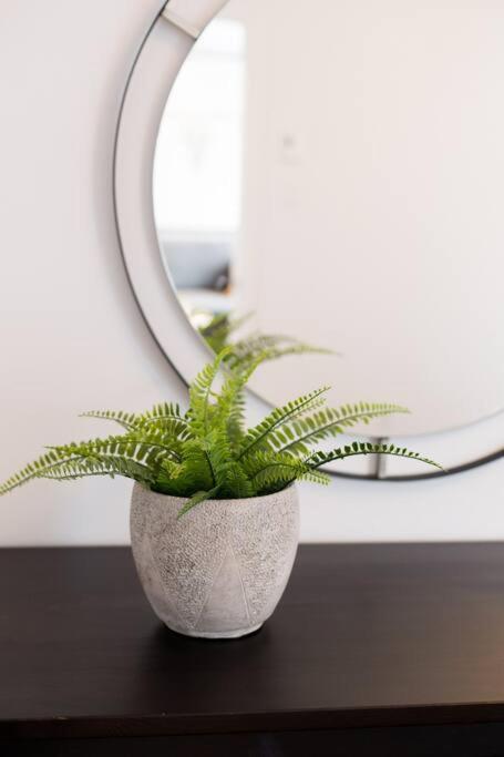Sleek Condo In The Heart Of Little Italy By Den Stays Montreal Luaran gambar